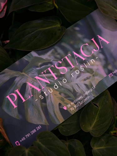 Bon podarunkowy do sklepu z roślinami