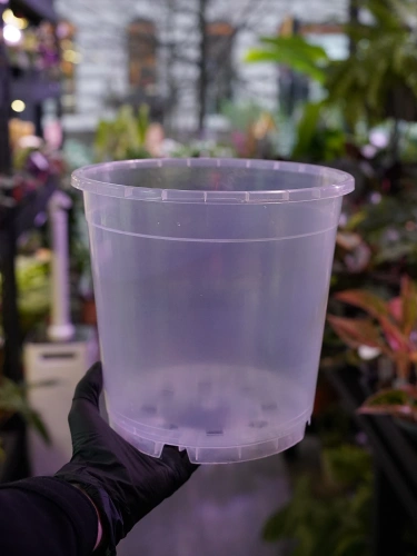 Doniczka okrągła Przezroczysta