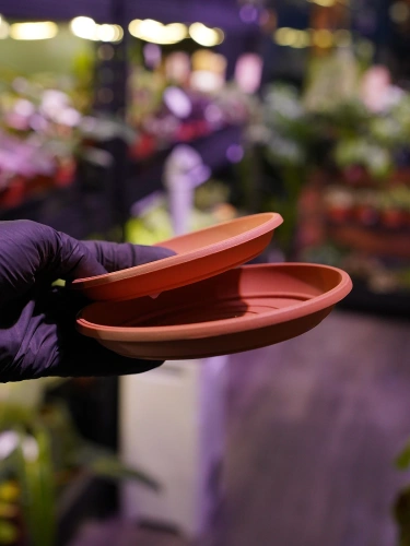 Podstawka pod doniczkę Pomarańczowa