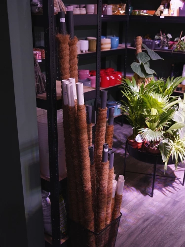 Palik Kokosowy - różne rozmiary