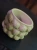 DSC07930.webp