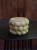 DSC07929.webp