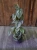 Philodendron brandtianum ⌀12cm