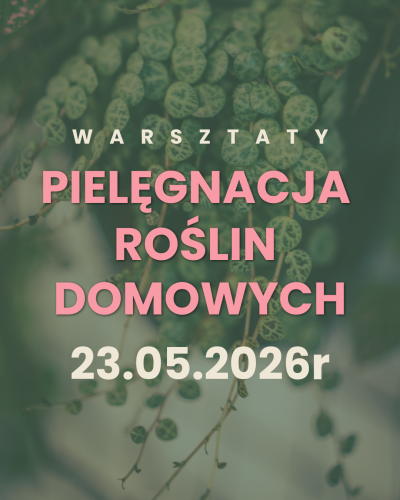 Warsztaty z pielęgnacji roślin domowych - 23.05.2026r