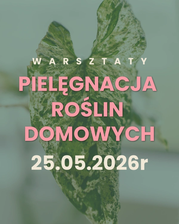 Warsztaty z pielęgnacji roślin domowych - 25.05.2026r