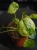 DSC08516.webp