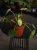 DSC08515.webp