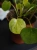 DSC08517.webp