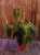 DSC08692.webp