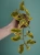 Begonia 'Dainty Spray Sport Variegata' ⌀8cm
