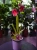Burrageara 'Nelly Isler' Storczyk ⌀12cm