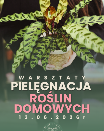 Warsztaty z pielęgnacji roślin domowych - 13.06.2026r