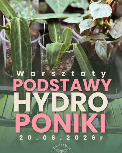 Warsztaty z podstaw hydroponiki - Szczecin 20.06.2026r