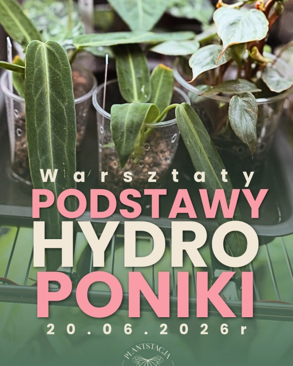 Warsztaty z podstaw hydroponiki - Szczecin 20.06.2026r