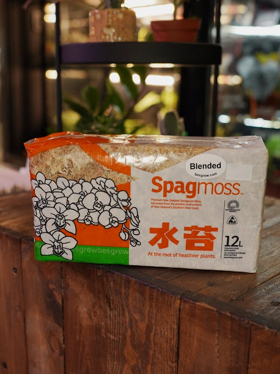 Mech sphagnum Blended Besgrow 12L