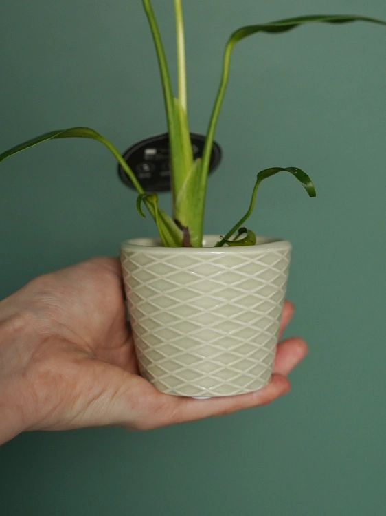 Osłonka ceramiczna Zielona Kimmi ⌀6cm