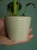 Osłonka ceramiczna Zielona Kimmi ⌀6cm