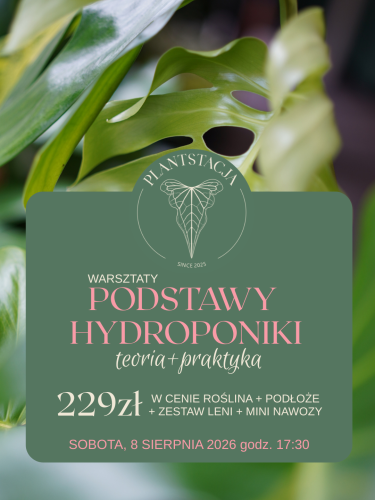 UPRAWA ROŚLIN W DOMU(3).png