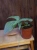 DSC09084.webp