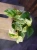 Epipremnum 'Snow Leopard' ⌀12cm