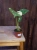 Monstera Thai Constellation ⌀6cm