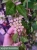 1773.webp