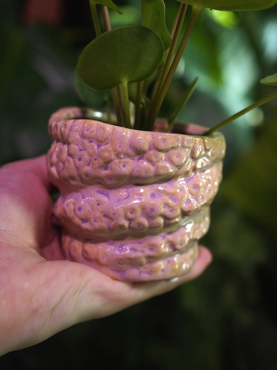 Osłonka ceramiczna Macki Pomarańczowa ⌀6cm