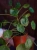 DSC09764.webp