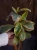 DSC09765.webp
