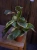 DSC09767.webp