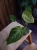DSC09771.webp