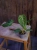 DSC09772.webp