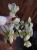 DSC09759.webp