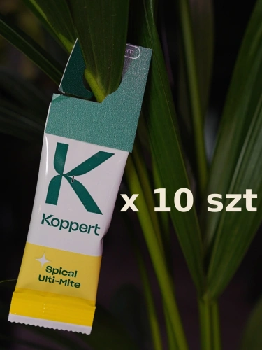 Spical Ulti-mite Dobroczynek kalifornijski na przędziorka 10szt