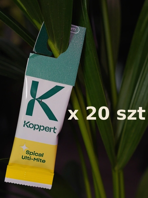 Spical Ulti-mite Dobroczynek kalifornijski na przędziorka 20szt