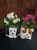 DSC07169.webp