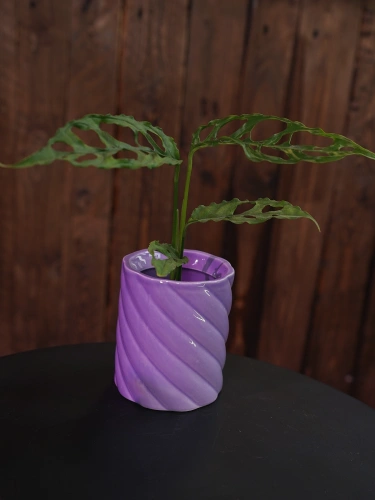 Osłonka ceramiczna Fioletowa Wysoka Bonbon ⌀6cm