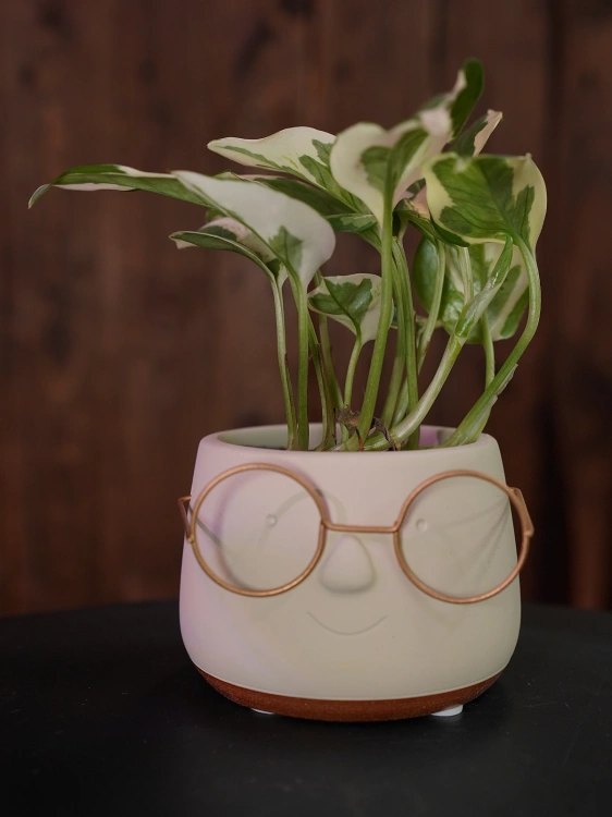 Osłonka Ceramiczna Beżowa Harry ⌀6cm