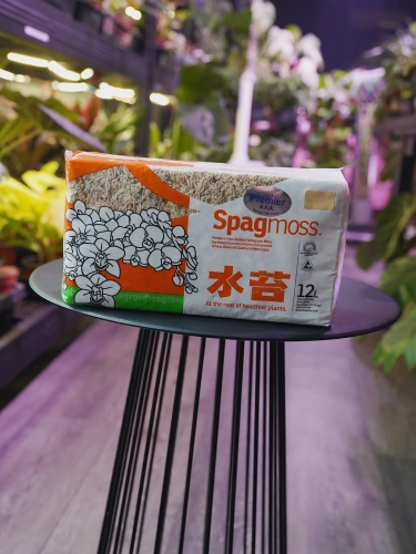 Mech sphagnum Premier Besgrow 12L