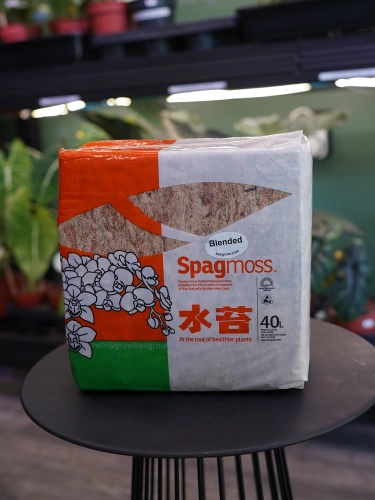 Mech sphagnum Blended Besgrow 40L